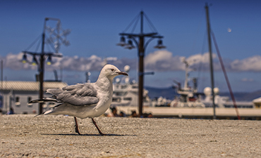CSO harbour worker in conversation with a seafarer