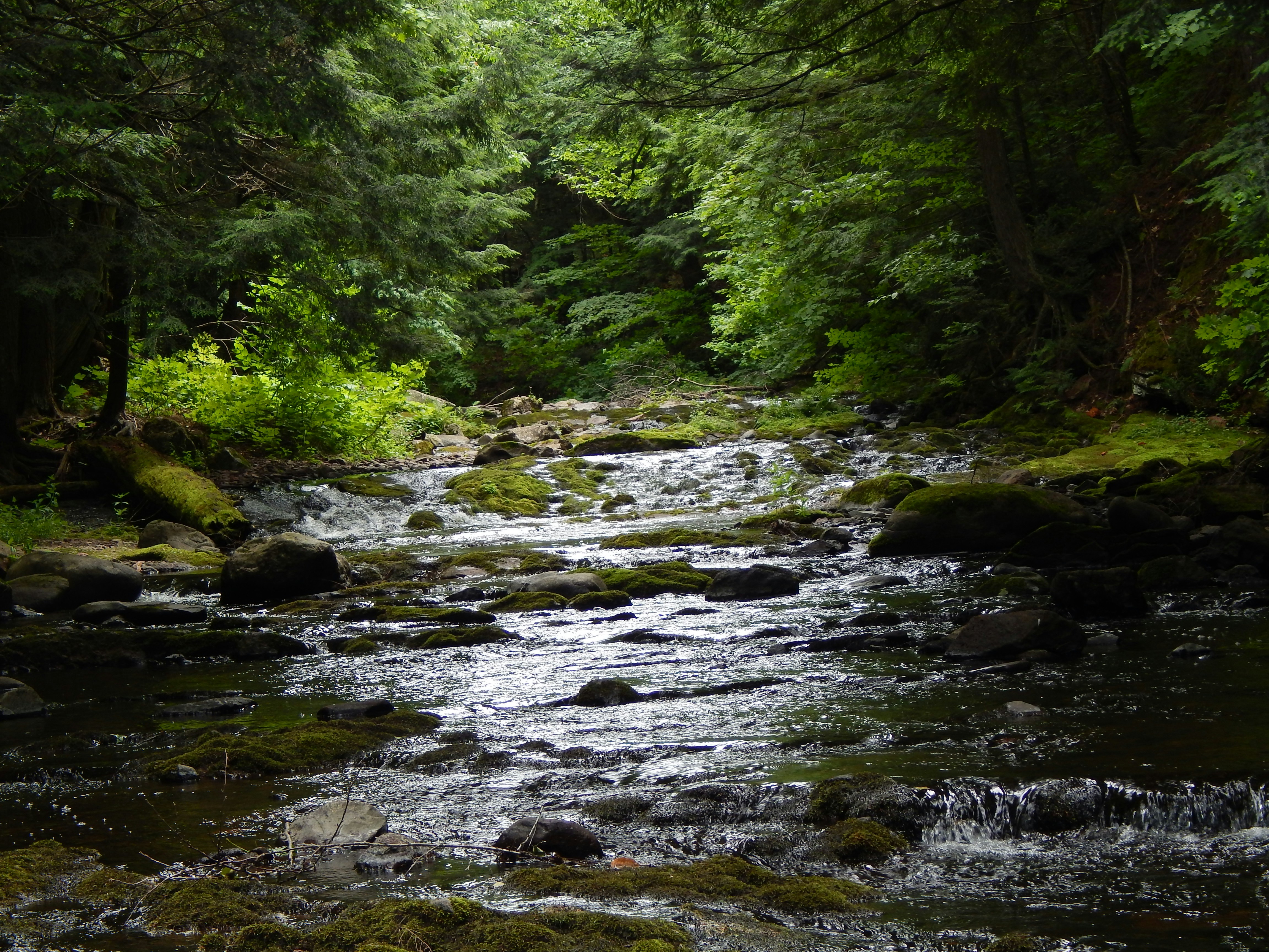“He leads me beside still waters.”