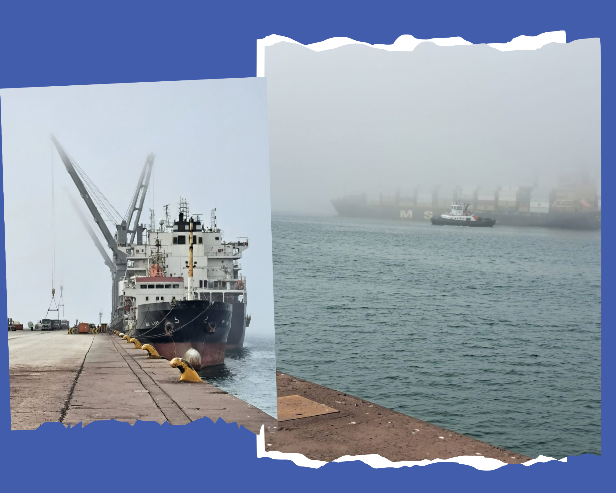 Morning mist over the Coega harbour with cranes and a ship
